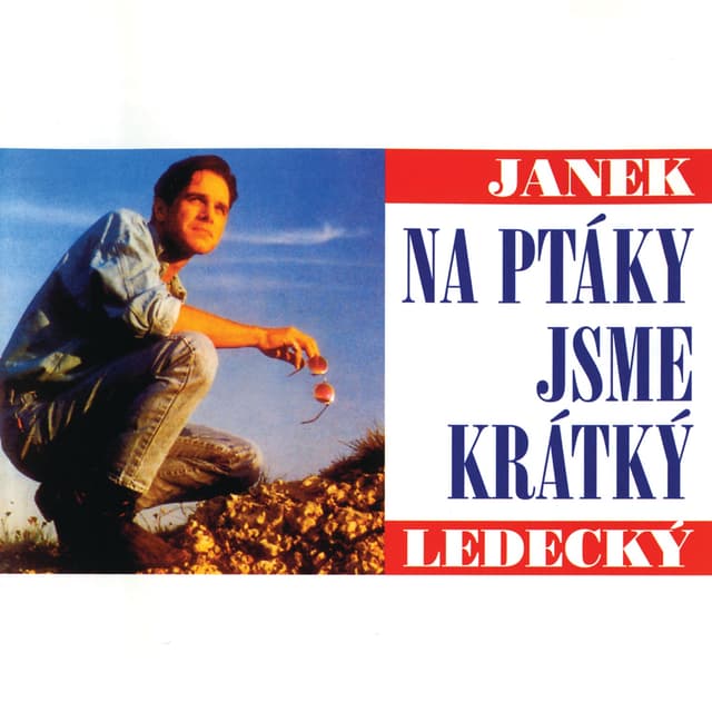 Album cover art for Na Ptáky Jsme Krátký