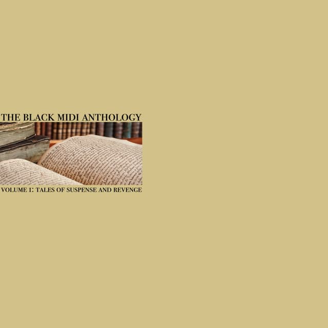 Album cover art for The Black Midi Anthology, Vol. 1: Tales of Suspense and Revenge