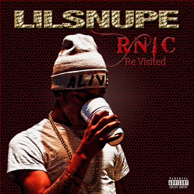 Album cover art for R.N.I.C. Re-Visited