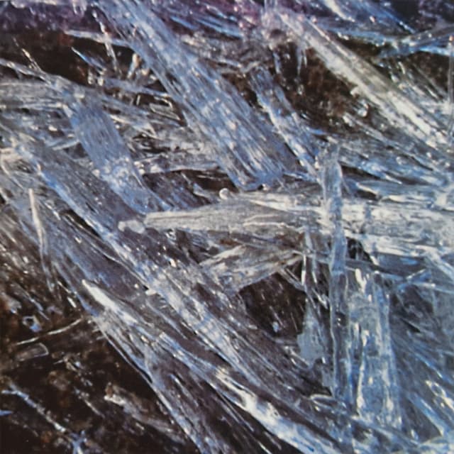 Album cover art for Must