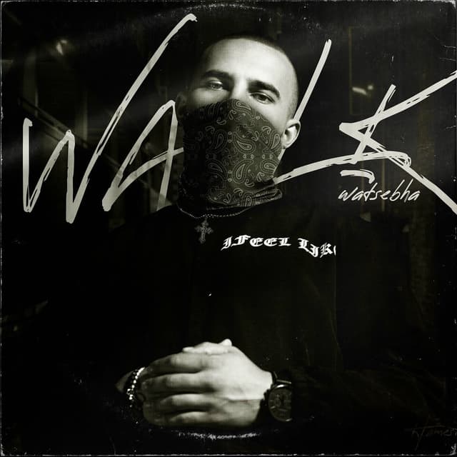 Album cover art for Walk