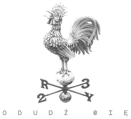 Album cover art for Obudź się