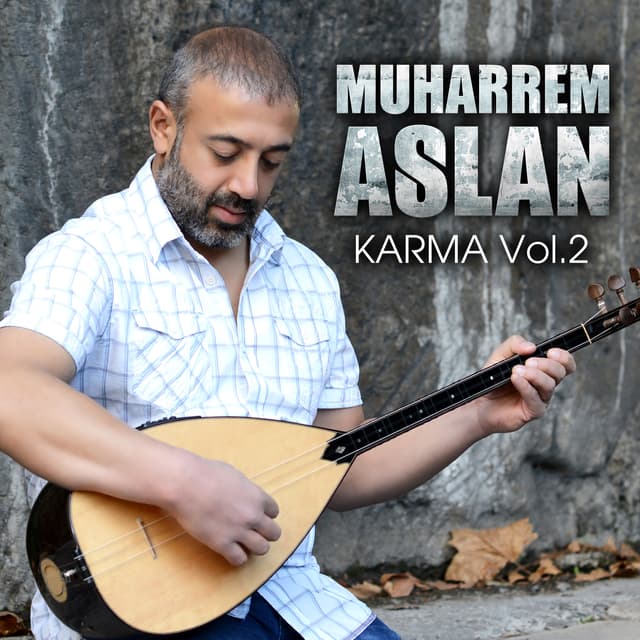 Album cover art for Karma, Vol. 2