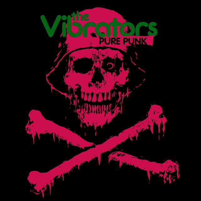 Album cover art for Pure Punk