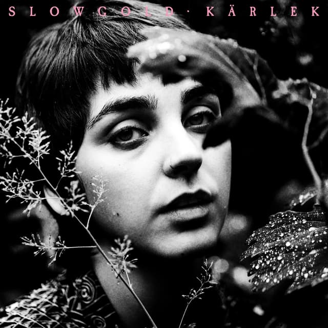 Album cover art for Kärlek