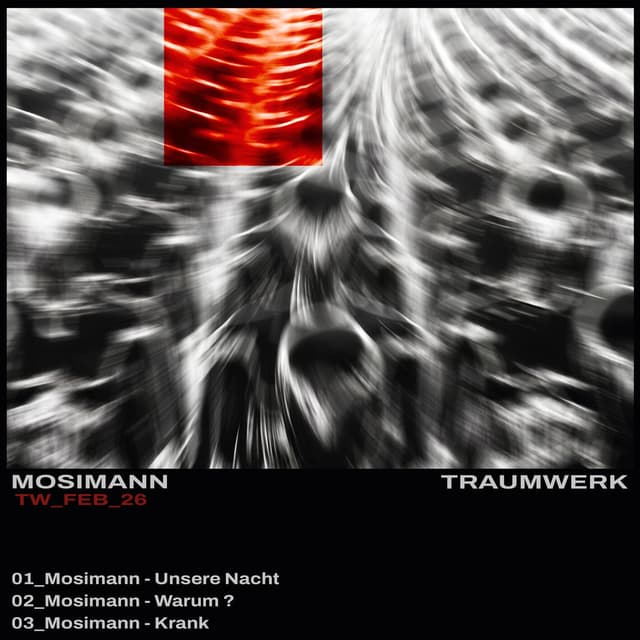 Album cover art for Traumwerk