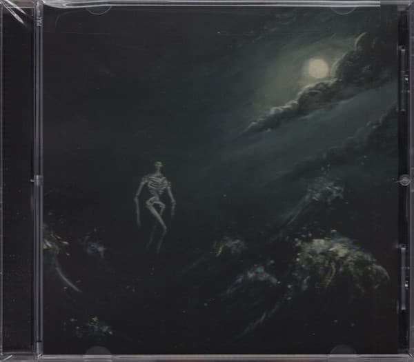 Album cover art for Into the Raging Sea