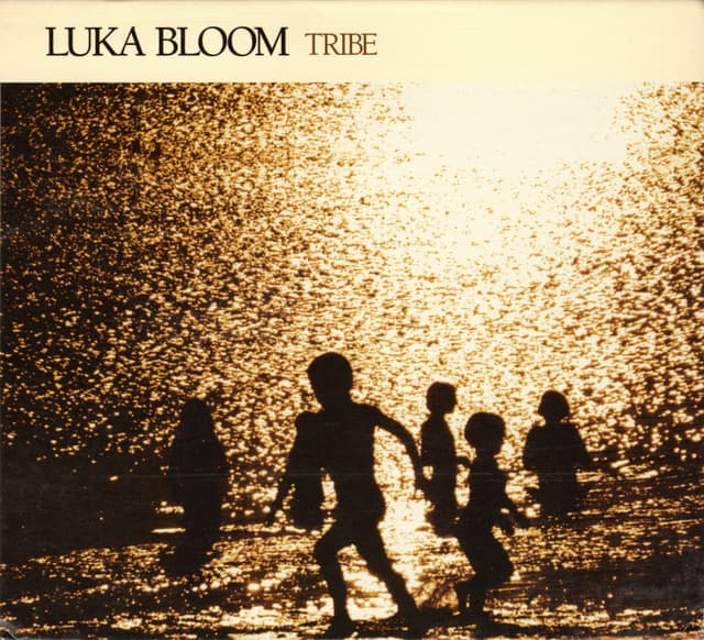 Album cover art for Tribe