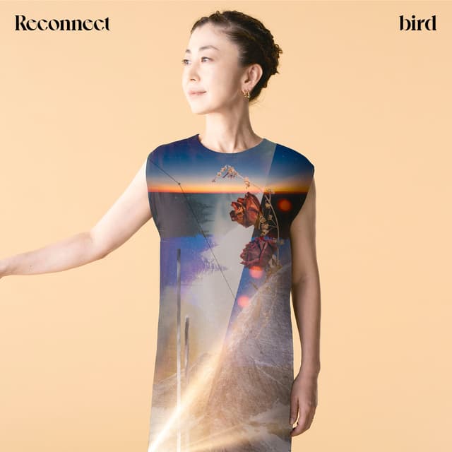 Album cover art for Reconnect