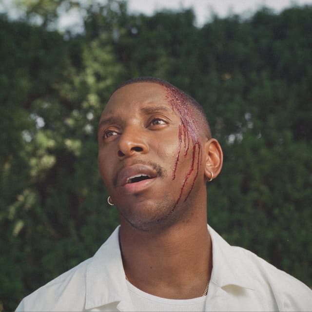 Album cover art for It Could Be Worse