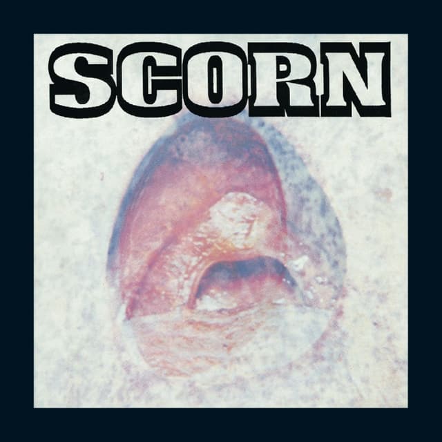 Album cover art for Vae Solis