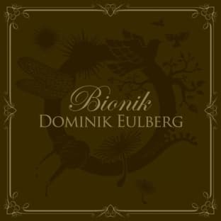 Album cover art for Bionik