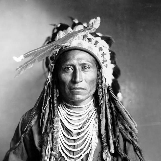 Album cover art for Medicine Man