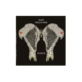 Album cover art for Nightjar