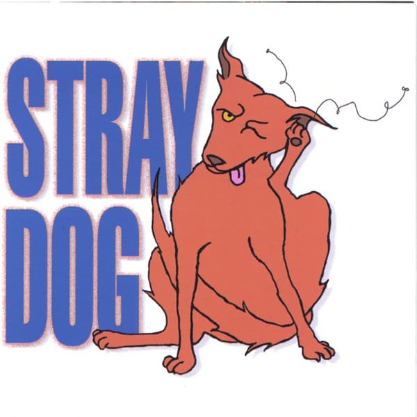 Album cover art for Stray Dog