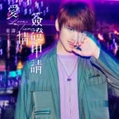 Album cover art for 愛情簽證申請