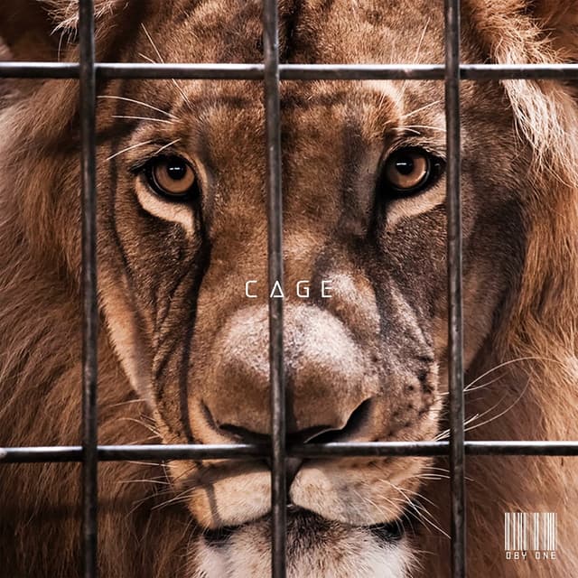 Album cover art for Cage