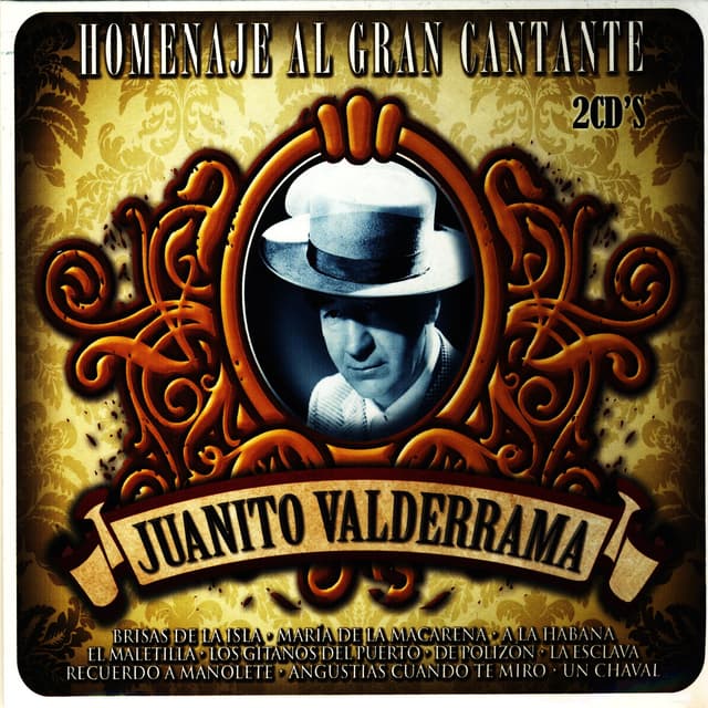 Album cover art for Homenaje Al Gran Cantante Juanito Valderrama
