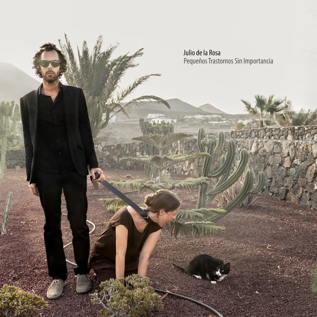 Album cover art for Pequeños trastornos sin importancia