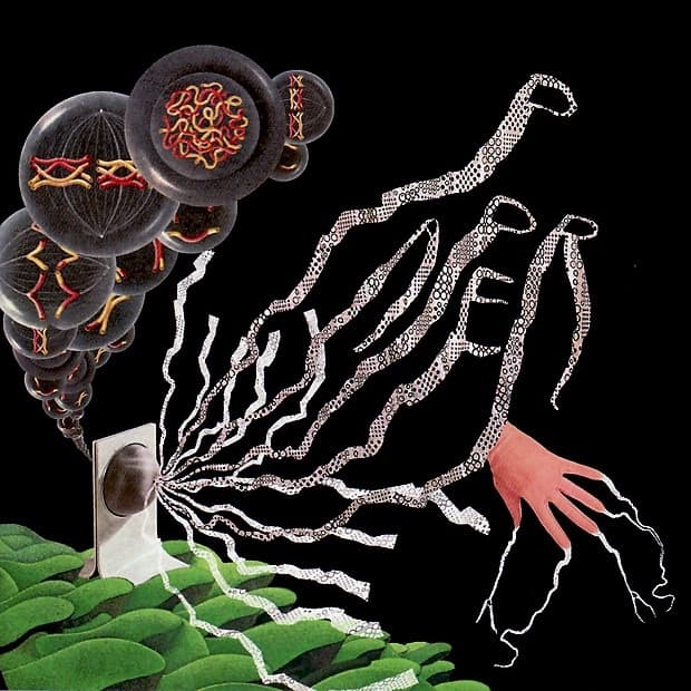 Album cover art for As As