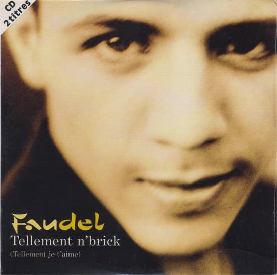 Album cover art for Tellement n'brick (Tellement je t'aime)