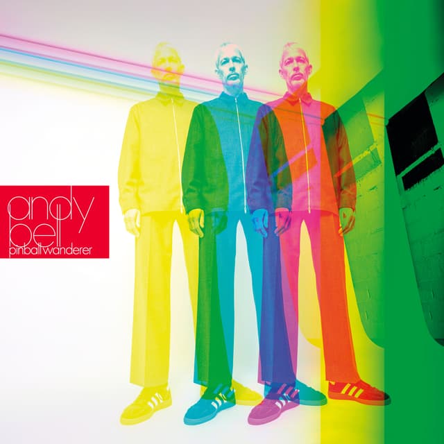 Album cover art for pinball wanderer