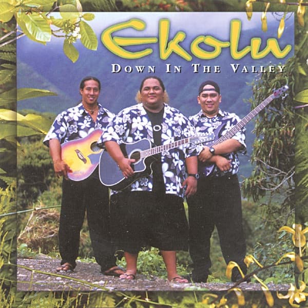 Album cover art for Down in the Valley