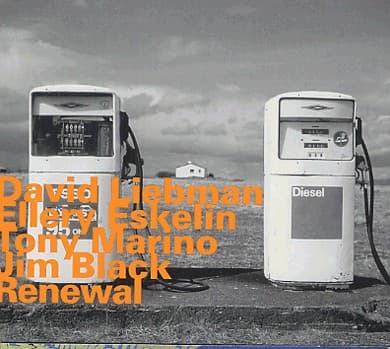 Album cover art for Renewal