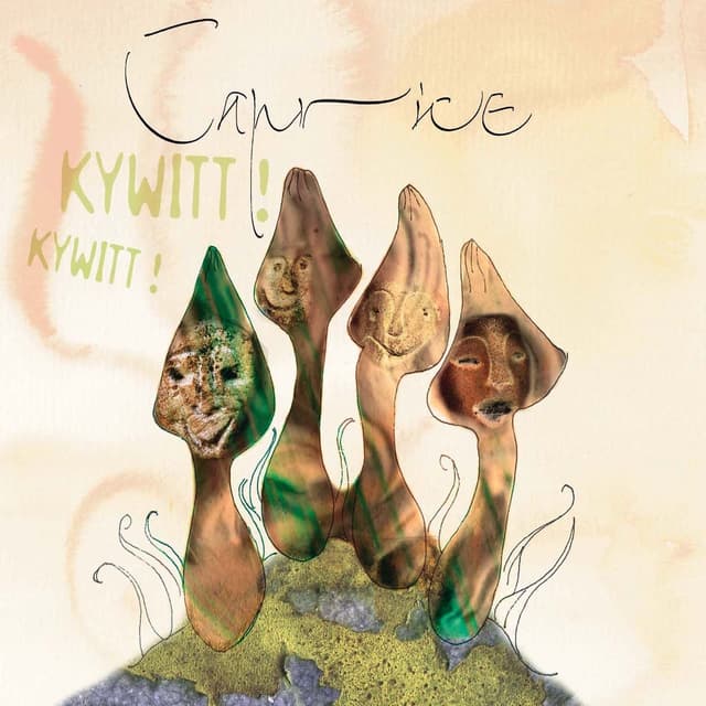 Album cover art for Kywitt ! Kywitt !