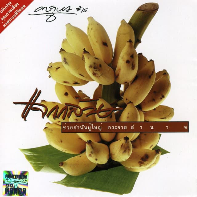 Album cover art for Jaak-Gloy