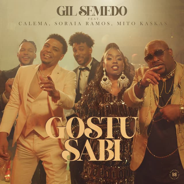 Album cover art for Gostu sabi