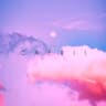 Moonshine (Feat. JOEY DJIA)