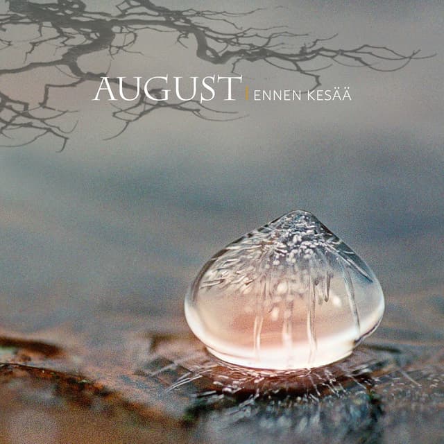 Album cover art for Ennen kesää