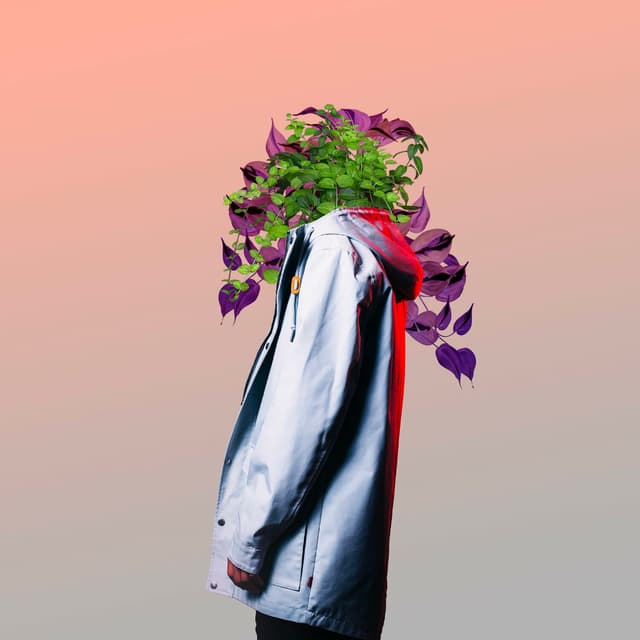 Album cover art for Slow Down