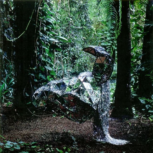 Album cover art for Donkey