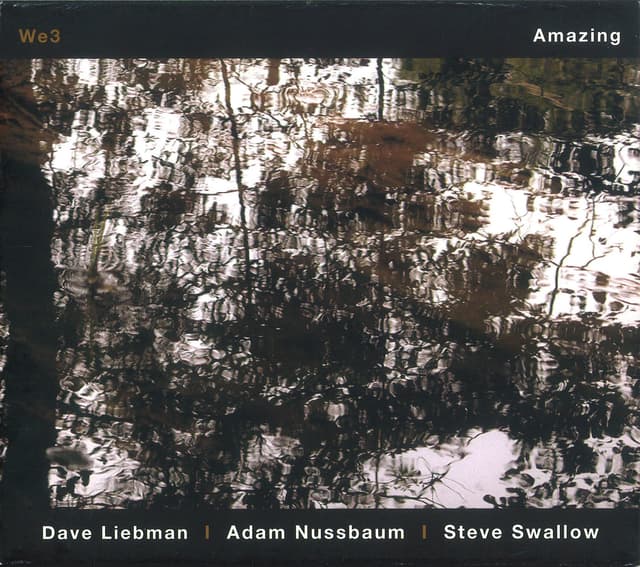 Album cover art for Amazing