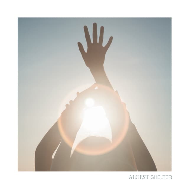 Album cover art for Shelter