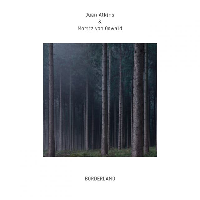 Album cover art for Borderland