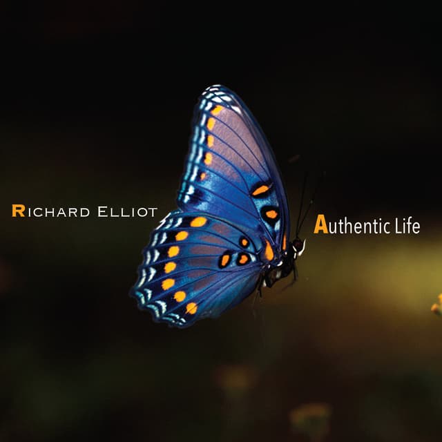 Album cover art for Authentic Life