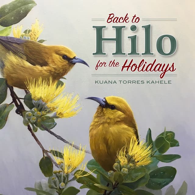 Album cover art for Back to Hilo for the Holidays