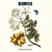 Album cover art for Verbotene Früchte