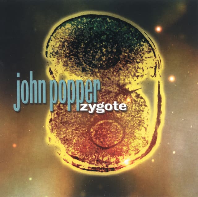 Album cover art for Zygote