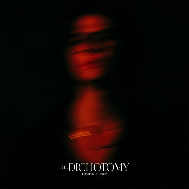 Album cover art for The Dichotomy