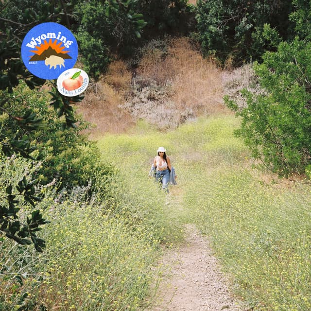 Album cover art for Wyoming