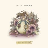 Album cover art for Wild Youth (The Remixes)
