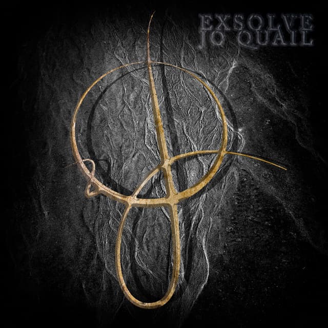 Album cover art for Exsolve