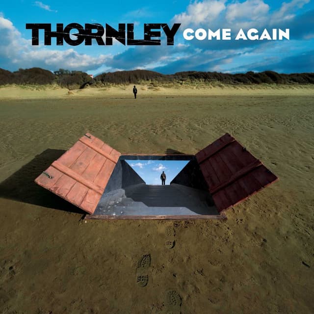 Album cover art for Come Again