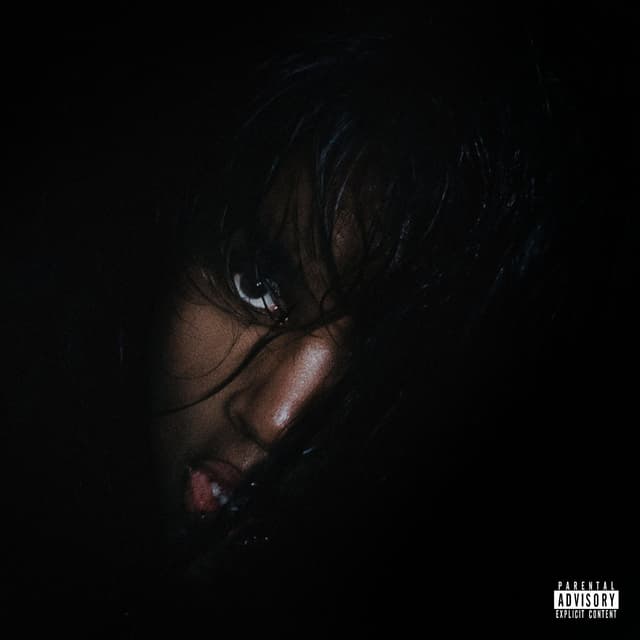 Album cover art for MENTAL