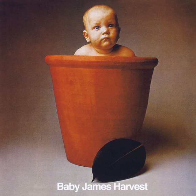 Album cover art for Baby James Harvest