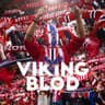 Vikingblod